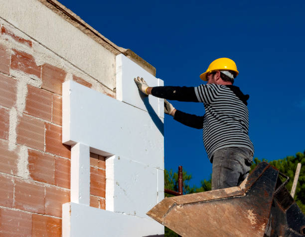 Best Cellulose Insulation in Frankfort, MI