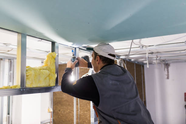 Best Insulation Maintenance and Repair in Frankfort, MI