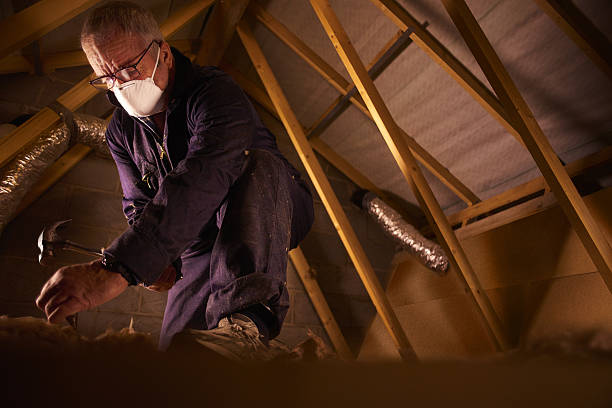 Best Commercial Insulation in Frankfort, MI